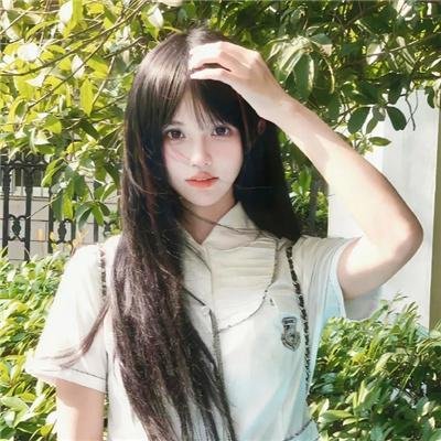观鸟者